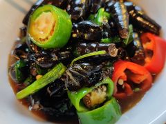 紫苏山坑螺-园林美食城·本土农家菜(杨和镇店)