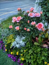 -弗蕾亚·和月月子调理院(东湖店)