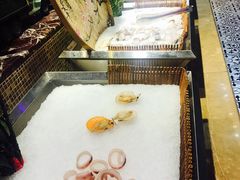 -吉布鲁牛排海鲜自助(成都大悦城店)