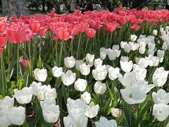 -石家庄市植物园