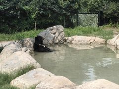 -郑州银基国际旅游度假区