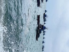 -海源公园