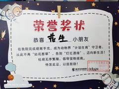 -瑞派宠物医院·中兽医专科(中央商城分院)