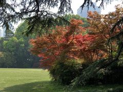 -虹迎轩·中餐厅(虹桥迎宾馆店)