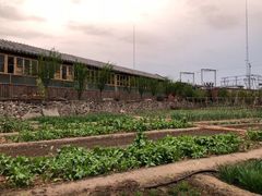 -白洋淀锅里口灶台鱼