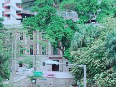 -香港大学