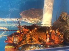-三林本帮馆(中林街店)