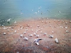 -青岛第二海水浴场