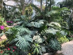-郑州植物园