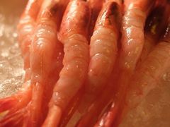 -佛山希尔顿酒店·融誉亚洲美食荟