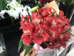 -何兮花店·气球派对鲜花店(马桥银春路万科城店)