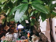 -星光大道KTV(金沙洲店)