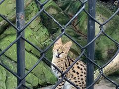 -大连森林动物园