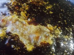 -水碾河肥兔火锅(水碾河店)