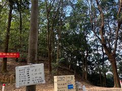 -大尖山公园