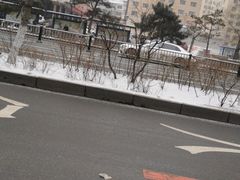 -董鲁烤鸭(建和街店)