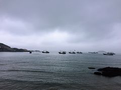 -枸杞岛