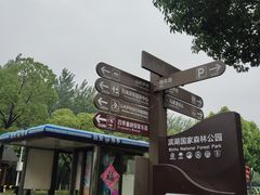 -合肥滨湖国家森林公园