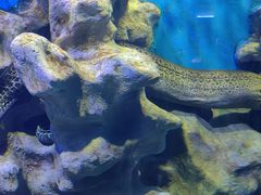 -石林冰雪海洋世界