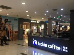 -凯德MALL(望京店)