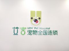 -艾吉宠物医院·疑难杂症转诊中心·猫友好(碧江路院)
