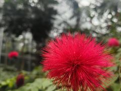 -南山植物园