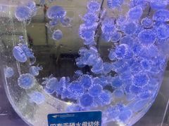 -杭州长乔极地海洋公园