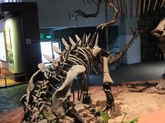 -自贡恐龙博物馆