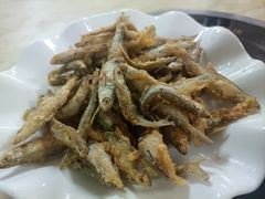 -翡翠老鸭店