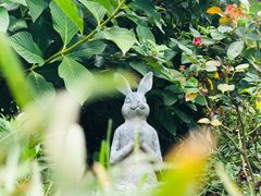 -猫米花园