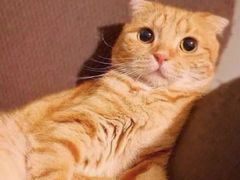 -董一米线(汉峪金谷店)