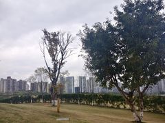 -重庆平顶山公园