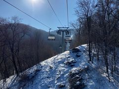 -亚布力新体委滑雪场
