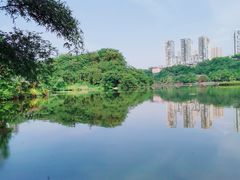-重庆彩云湖湿地公园