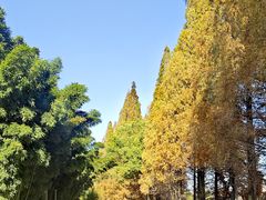 -采石矶景区