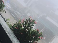 景观位-九华山友谊土菜馆 小资餐厅