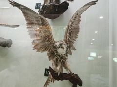 -国家自然博物馆