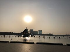 -暨阳湖生态园