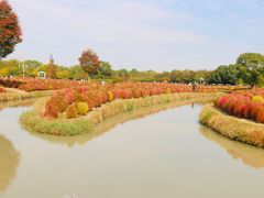 -花开海上生态园