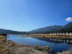 -腾冲北海湿地