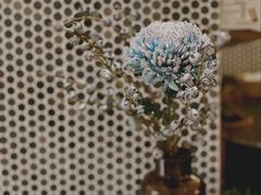 -Radar Coffee(思南路店)