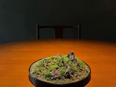 -觀芷隐轩