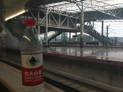 -岳阳东站