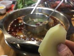 -金鼎雪山牦牛杂火锅(理县总店)