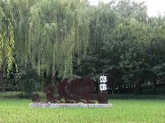-北坞公园