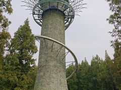 -黄海国家森林公园