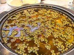 -陈麻婆豆腐(旗舰店)