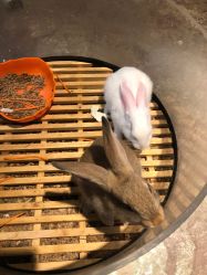 -酷嗒动物文化乐园(cutezoo西溪乐天城店)