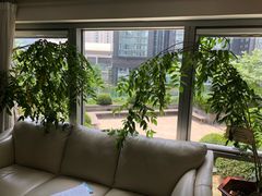 -精德口腔·种植修复·儿牙中心(财富中心店)