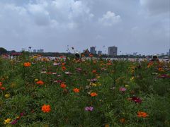 -顺峰山公园